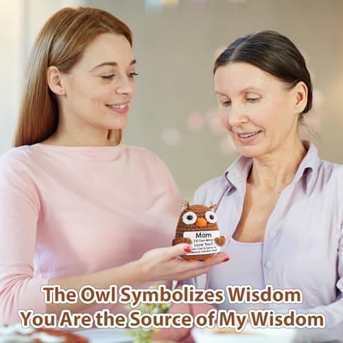 Hweijm Gifts for Mom Valentines Birthday from Daughter Son, Funny Crochet Owl Valentines Day Birthday Gift for Mama Bonus Step Mother in Law, I Love You Mom Gift Handmade Emotional Owl Support Decor - Thumbnail 5