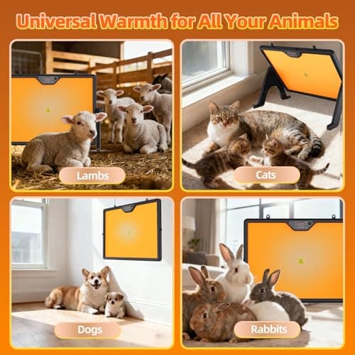 Smart Chick Brooder Heater Plate with Adjustable Temperature (86–167°F) & 0–12H Timer, Built-in Temperature Sensor, 12"x16" Dual-Sided Brooder Plate for Chicks, Remote Control & Adjustable Angle - Thumbnail 3