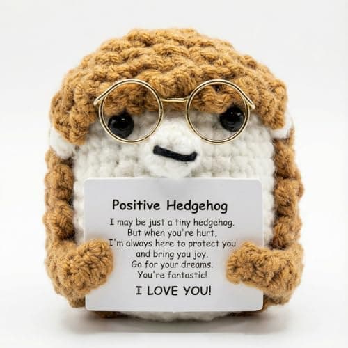 AskLady Crochet Hedgehog Valentines Day Birthday Gifts for Women Men,Cheer Up Appreciation Gift for Friends Coworkers - Inspirational Emotional Support for Her Mom Sister, Positive Gifts for Yourself - Image 1