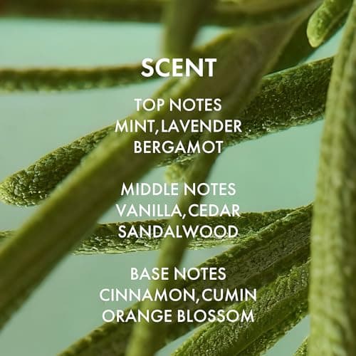 ALFHEIM Rosemary+ Purifying Shampoo for Oily & Fine Hair with Rosemary, Peppermint & Jojoba Oils – Travel Size – Deep Cleanse, Balance & Refresh – Vegan, Sulfate-Free, Cruelty-Free – 10.7 oz / 316 ml - Thumbnail 6