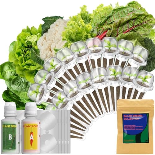 LYKOCLEAN Salad Buttercrunch Lettuce Seeds for AeroGarden, iDOO, Ahopegarden Hydroponics Growing System, 18-pods, 350+ Seeds (Include Spinach, American Fast Lettuce,Paris Island Lettuce, Cauliflower) - Image 1