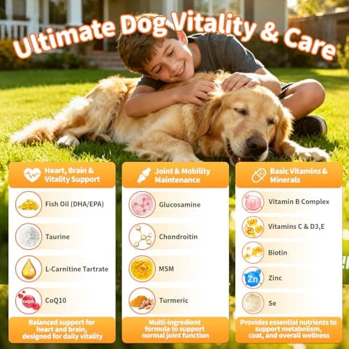 POPPAW 25-in-1 Dog Multivitamin Chews – All-in-One Daily Vitamins & Supplements for Dogs, Joint Support with Glucosamine MSM, Omega-3 Skin & Coat, Gut, Heart & Brain, All Breeds & Ages, Beef, 90Ct - Thumbnail 3
