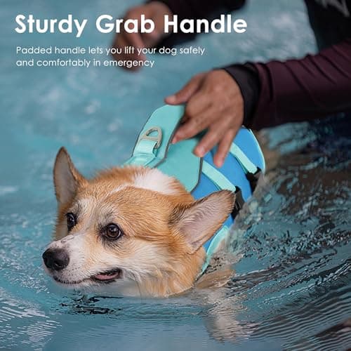 Petglad Dog Life Jacket, High Buoyancy Dog Life Vest with Handle for Swimming Boating, Adjustable Swimming Vest with Reflective Trim for Small Medium Large Dogs - Blue, XL - Thumbnail 4
