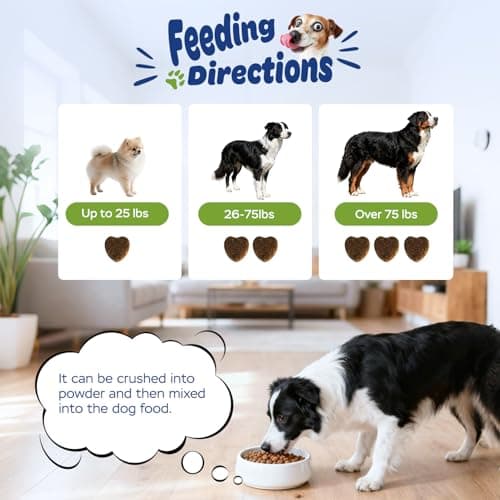 Xiderdl Dog Multivitamin with Glucosamine, Chondroitin, MSM & Probiotics – 8-in-1 Hip & Joint, Skin & Coat, Gut, Heart & Immune Health Supplement Soft Chews for Dogs – 120 Count - Thumbnail 6