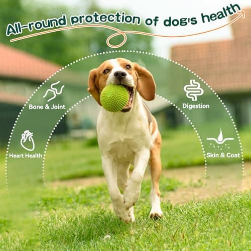 8-in-1 Dog Multivitamin Soft Chews - with Omega 3, Probiotics & Glucosamine - Immune, Skin, Joint, Digestive Support - Daily Supplement for All Dogs - Thumbnail 4