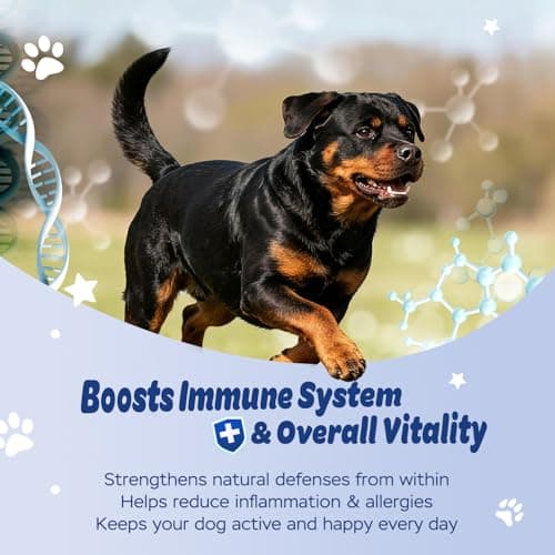 Xiderdl Dog Probiotic Soft Chews – 6-Strain Blend for Digestive & Immune Health – Supports Gut Balance, Reduces Gas, Tasty Daily Treat for Dogs-120 Count - Thumbnail 4