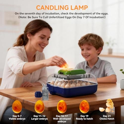 25 Egg Incubator with Automatic Turner, Digital Temperature & Humidity Control, Built-in Egg Candler, External Water Refill, for Hatching Chicken, Duck,Goose, Home, School Use - Thumbnail 4