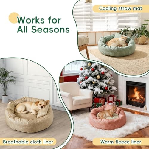 Colewin Small Cat Bed for Indoor Cats Dogs, Washable Round Donut Pet Bed for Puppies Kittens, Cute Rabbit Bunny Beds with Reversible Winter & Summer Cushion for Pets Up to 8lbs (Green) - Thumbnail 5