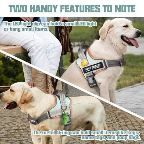 AUROTH Dog Harness and Leash Set, Soft Padded Service Dog Vest with 5.25FT Dog Leash, No Choke, Easy On Pet Vest, Adjustable Reflective No Pull Dog Harness for Large Dogs, Easy Walking and Training - Thumbnail 3
