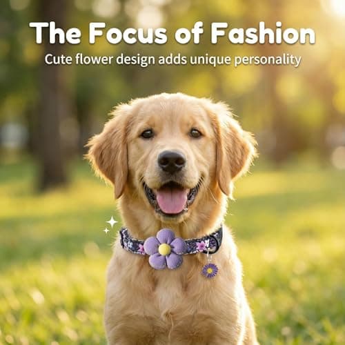 Small Dog Collar with Flower, Dog Collars for Small Dogs for Female Male Dogs Cute Dog Collar with Pendant - Thumbnail 6