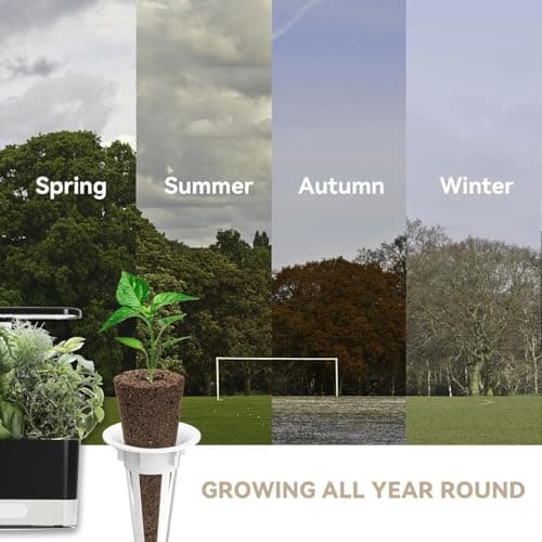 inbloom Culinary Herbs Seed Pod Kit for Hydroponics Growing System, 12 Pods (350+ Seeds with Basil, Parsley, Shis0, Liquorice, Mint, Cilantro, and Chic0ry) - Thumbnail 6