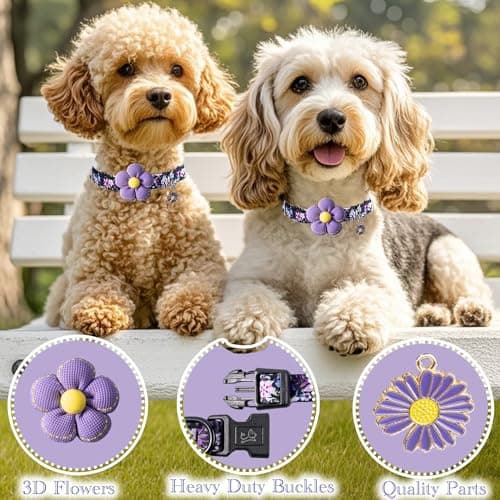 Small Dog Collar with Flower, Dog Collars for Small Dogs for Female Male Dogs Cute Dog Collar with Pendant - Thumbnail 2