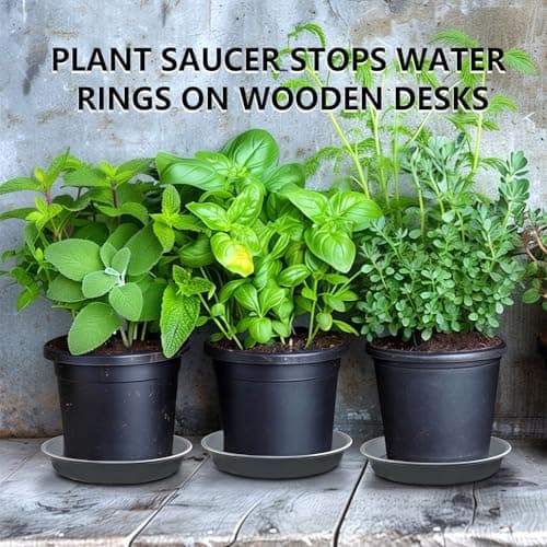 Garrdeen 6 Pack 8-Inch Gray Plant Saucer Trays, Durable PP Plastic Pot Bases for Small Medium Planters, Modern Round Flower Pot Water Catcher Plates & Drip Trays for Indoor Plant Care - Thumbnail 6