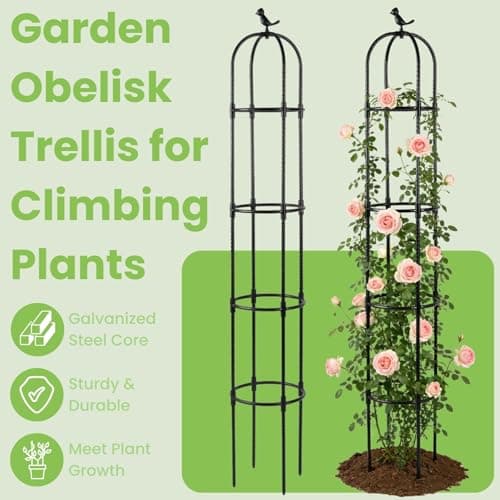 Lancisism Garden Obelisk Trellis for Climbing Plants Outdoor - 2 Pack 6.3 Ft Plant Support Round Trellis for Potted Plants Indoor - Rustproof Plastic Coated Tomato Cage for Vines Flowers Vegetable - Thumbnail 2