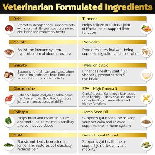 Life4Legs - Hip and Joint Chews for Dogs + Skin and Coat Supplement - Dog Joint Pain Relief Treats - Glucosamine, Chondroitin, MSM, Hemp Oil, Turmeric, Omega 3 for Dogs, Mobility Dog Health Supplies - Thumbnail 6