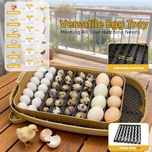 24 Incubators for Hatching Eggs, Egg Incubator with Humidity Control & Digital Temperature, Automatic Egg Turner, Hatch Day, Auto Water Refill, 360°Viewing for Chicken, Duck, Quail, Duck, Goose - Thumbnail 6