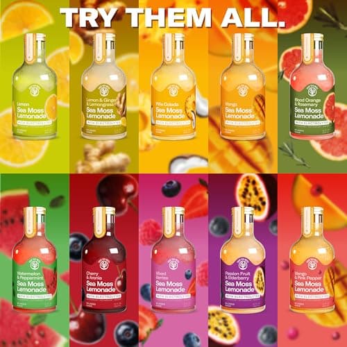 True Sea Moss Mixed Berry Lemonade – Single Flavor Pack with Classic & Electrolyte Formula Variation – Hydration Drink – 4 × 12 fl oz Bottles – Made in USA - Thumbnail 4