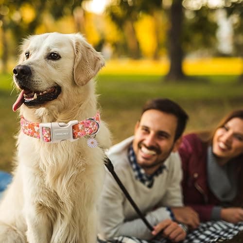 ARING PET Spring Summer Dog Collar, Cute Daisy Wildflower Floral Blossom Pet Collars for Small Medium Large Girl Dogs-L Size - Thumbnail 2