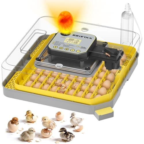 IBKINXX Incubator for Hatching Eggs-48 Egg Capacity, 2026 Newly Upraded Auto Egg Turner & Auto Precision Humidity Control System, 360° Clear Viewing for Chicken, Duck and Quail Eggs (Yellow) - Image 1