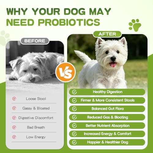 Probiotics for Dogs - 150 Soft Chew, Dog Probiotics for Digestive Health and Diarrhea, Allergies & Immune Support Dog Probiotic Supplement, Daily Probiotics for All Dogs, Natural Duck Flavor - Thumbnail 5