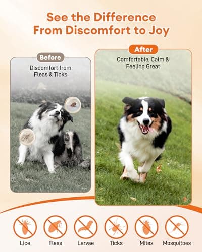 PAWAURA Flea & Tick Prevention Chews for Dogs – 150 Soft Chews – Effective Flea and Tick Treatment, Skin & Coat Health, Immune Support for All Dog Sizes - Thumbnail 3