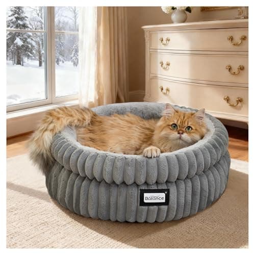 BALANCE Cat Bed Kitten Bed, Washable Round Cat Beds for Indoor Cats, Super Soft Plush Faux Fur Pet Bed for Puppy and Kitten with Anti-Slip Bottom - Image 1