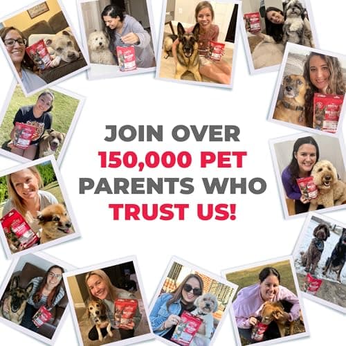 Mighty Petz MAX Dog Allergy Relief Chews - Itch Relief with Colostrum, Probiotics & Immune Support for Seasonal Allergies & Itchy Skin - Thumbnail 6