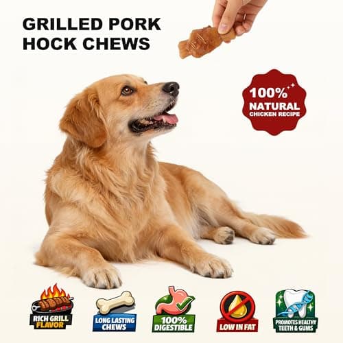 PETPHABET Rawhide Free Dog Chew Bones - Grilled Pork Hock Dog Chews for Small Medium Breeds, Healthy Puppy Treats for Training & Teething, Made with Real Chicken, Natural Smoky Flavor, 12 Count - Thumbnail 2