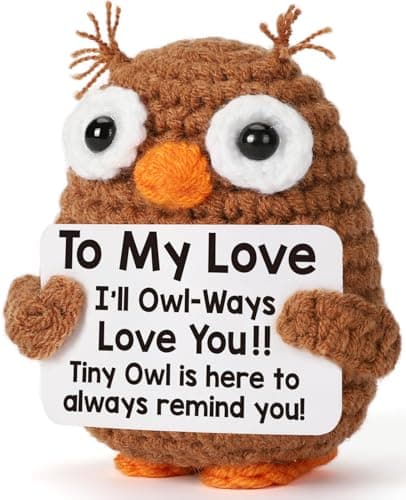 Valentines Day Owl Gifts for Her Him Girlfriend Boyfriend, I Love You Romantic Valentines Anniversary Birthday Handmade Crochet Owl for Wife Husband Couple Lover, To My Love Gifts for Women Men - Image 1
