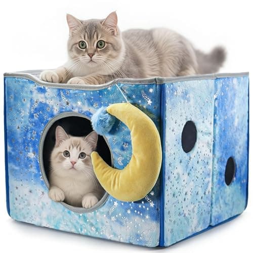 CWV Interactive Cat Toys for Indoor Cats, Kitten Toys with Scratch Pad， Cat Hideaway with Peekaboo Holes, Star Cat House Cave with Soft Pillow