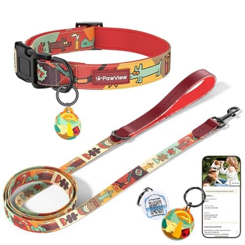PawView Dog Collar and Leash Set, QR Tag Adjustable Pet Collar, 5 FT Heavy Duty Dog Leash, Padded Handle, Quick Release Buckle, Metal Ring, 360° Swivel Clip for Medium Dogs Walking Running (Red, M) - Image 1