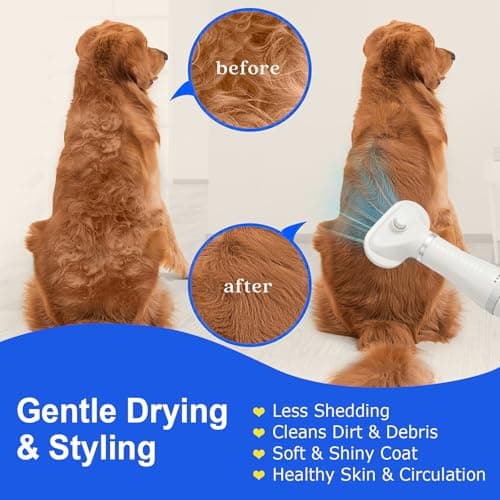 3-in-1 Pet Hair Dryer Brush for Dogs & Cats – Portable Blower & Slicker Brush, Adjustable Temperature, Overheat Protection - Thumbnail 2