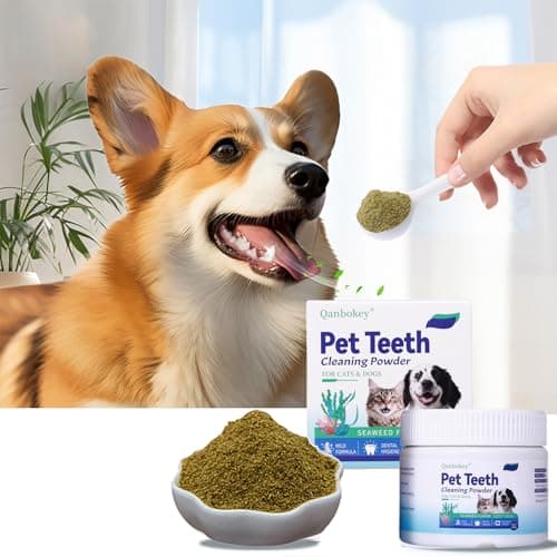 Qanbokey No-Brush Dog Teeth Cleaning Powder, Plaque and Tartar Remover, Breath Freshener for Dogs and Cats, with Enzymes - Image 1