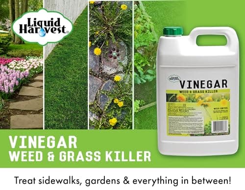 Liquid Harvest Vinegar Weed & Grass Killer - Gallon - Nonselective Herbicide Approved for Organic Production, Pet Safe & Glyphosate Free Herbicide - Thumbnail 2