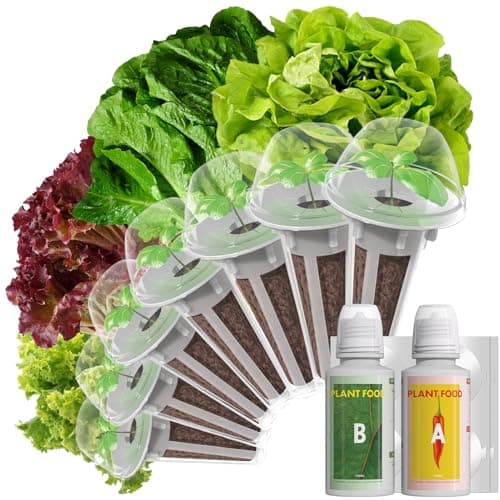 LYKOCLEAN Salad Romaine Lettuce Pods for AeroGarden, Ahopegarden, iDOO Hydroponics Growing System, 350 Seeds+ Including American Fast Lettuce, Paris Island Cos Lettuce, Buttercrunch Lettuce(7-Pods) - Image 1