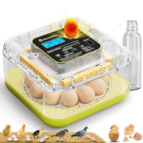 Egg Incubators for Hatching Eggs, 12 Egg Incubator with Automatic Egg Turning and Humidity Control, Incubator for Chicken/Quail/Duck Eggs with Temperature Control/LED Egg Candler, 360 Degree View - Image 1