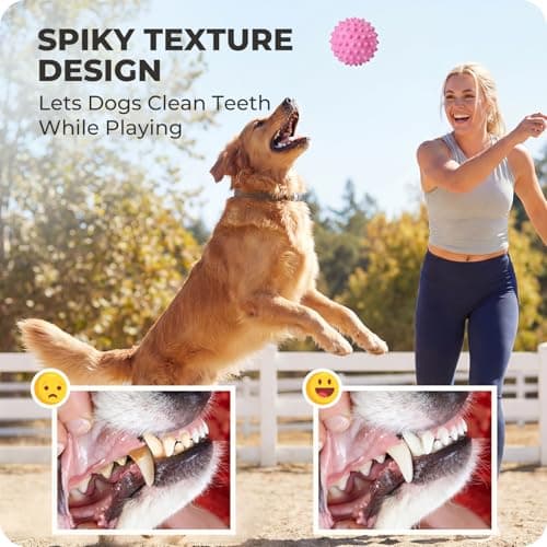 Apasiri Bacon-Flavored Squeaky Balls for Dogs: 3.5 Inch Durable Rubber Bouncy Dog Balls for Aggressive Chewers, Spiky Floating Dog Balls for Large & Medium Dogs, Dog Birthday Gift, Fetch Games, Pink - Thumbnail 4