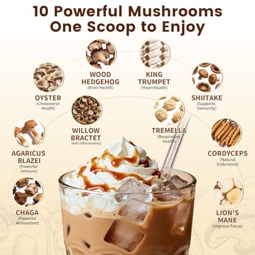 Catfit Instant Mushroom Coffee Powder, 10-in-1 Adaptogen Blend with Lion's Mane, Chaga & Cordyceps for Energy, Focus, Gut Health & Immune Support - 240g, 75 Servings - Thumbnail 4
