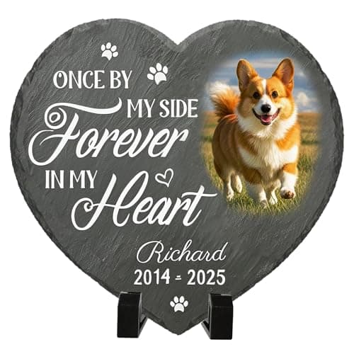 Umitive Personalized Pet Memorial Stone - Custom Dog Grave Marker with Name & Photo - Sympathy Gifts for Loss of Beloved Dog - Cemetery Decor - Rainbow Bridge Memorial for Dogs (Style A)
