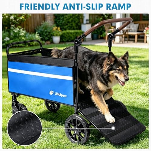 Libbipaw Dog Wagon for Medium & Large Dogs, Foldable All-Terrain Dog Stroller Wagon with Ramp, Adjustable Handle, One-Step Brake, Heavy Duty Pet Wagon (Blue) - Thumbnail 2