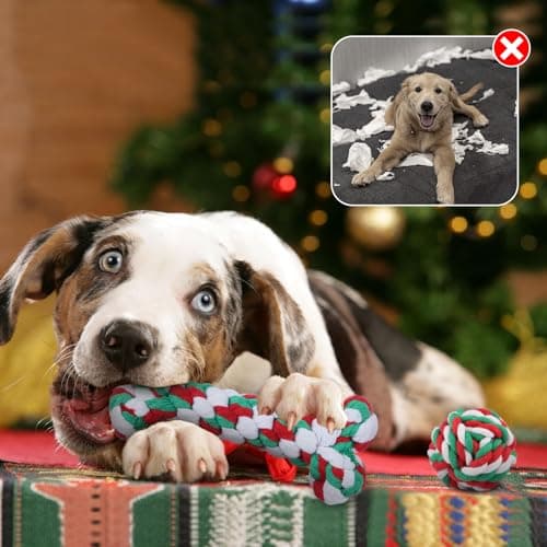 Yteseery 6 Pack Christmas Dog Rope Toys for Small Medium Dog, Chew Training Cotton Toys for Puppy Teeth Cleaning and Interacting Play Games - Thumbnail 4