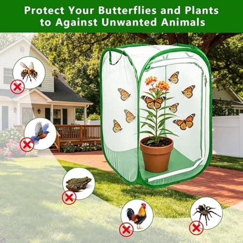 Butterfly House Habitat Insect Cage Clear See Through Pop-up Collapsible Butterfly Enclosure-Medium 15.8"x15.8"x23.6" - Thumbnail 4