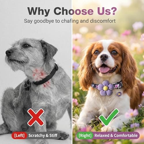 Small Dog Collar with Flower, Dog Collars for Small Dogs for Female Male Dogs Cute Dog Collar with Pendant - Thumbnail 5