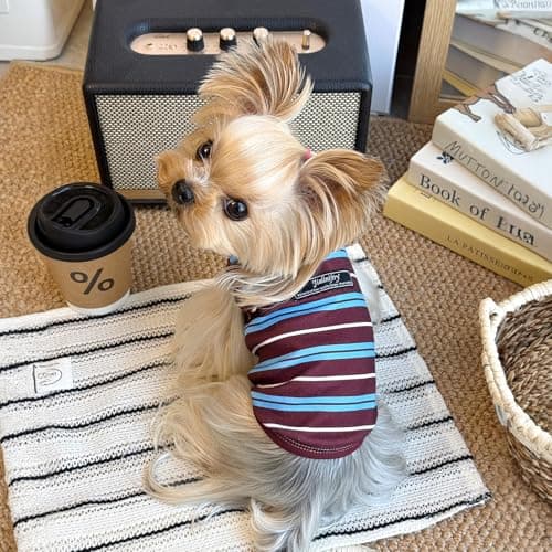 Jialinifery Soft Striped Dog Shirt, Cozy Warm pet Vest for Small Medium Dogs, Classic Puppy cat Clothes for Indoor Outdoor Outfits - Thumbnail 3