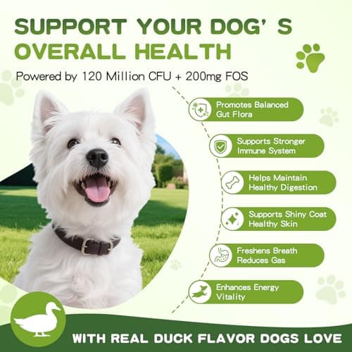 Probiotics for Dogs - 150 Soft Chew, Dog Probiotics for Digestive Health and Diarrhea, Allergies & Immune Support Dog Probiotic Supplement, Daily Probiotics for All Dogs, Natural Duck Flavor - Thumbnail 4