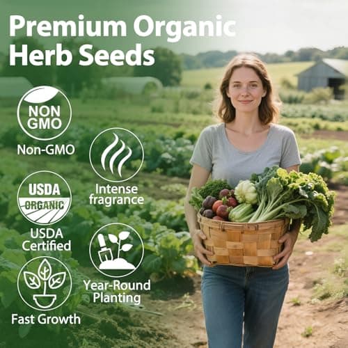 5 Herb Garden Planter Indoor with Wooden Box, Home Kitchen Seed Starter Kit Including Dill, Cilantro, Oregano, Sage, Chives, Birthday, Mothers Day, House Warming, Gardening Gifts for Women, Mom - Thumbnail 3