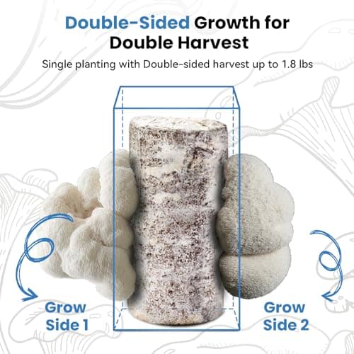 Fungiworks USA Organic 4lbs Lions Mane Mushroom Growing Kit, Double-Side Mushroom Grow Kit Indoor, Harvest Gourmet Mushrooms in 10 Days, Top Gardening Gift, Holiday Gift - Thumbnail 4