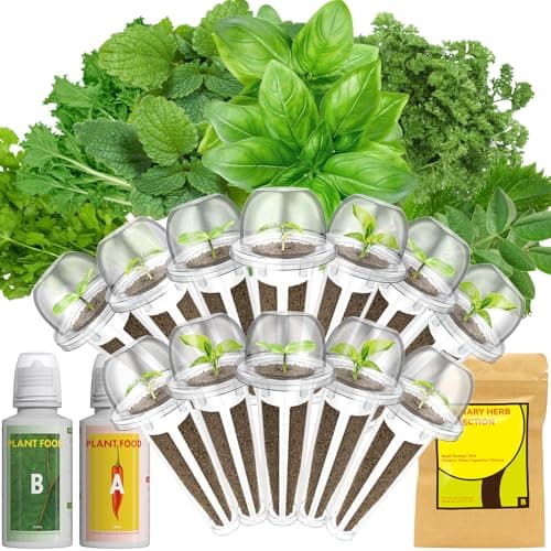Lyko Gourmet Herb Seed Pod Kit for AeroGarden, iDoo, Ahopegarden, GARDENCUBE, 12 Pods with Basil, Parsley, Mint, Cilantro, Licorice, Hydroponics Growing System Kits for Indoor Garden - Image 1