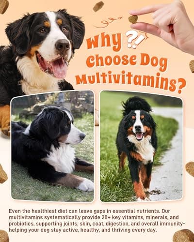 PAWAURA 24-in-1 Multivitamin Dog Supplement, 150 Soft Chews – Glucosamine & Chondroitin for Joint Support, Probiotics for Gut Health, Omega Fish Oil for Skin & Coat, Daily Dog Vitamins - Thumbnail 5