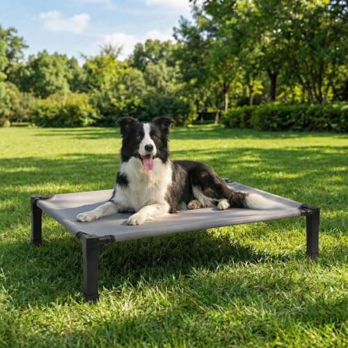 Elevated Dog Bed Raised Cooling Dog Cot for Large Dogs, Portable Indoor & Outdoor Pet Bed with No-Slip Feets Breathable Mesh Pet Bed for Camping Outdoor - Image 1